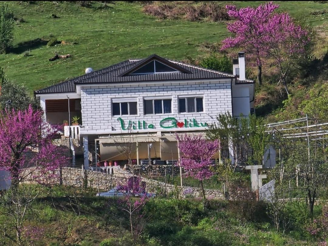 Villa Goliku Pestani エクステリア 写真